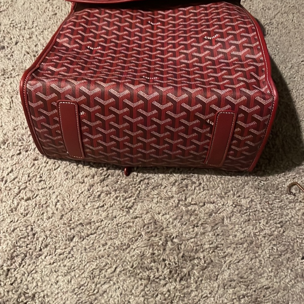 Designer Backpack - Picture 5 of 7